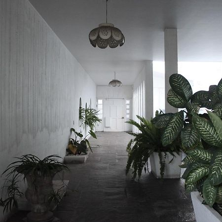 Allende 304 Aguascalientes Ngoại thất bức ảnh