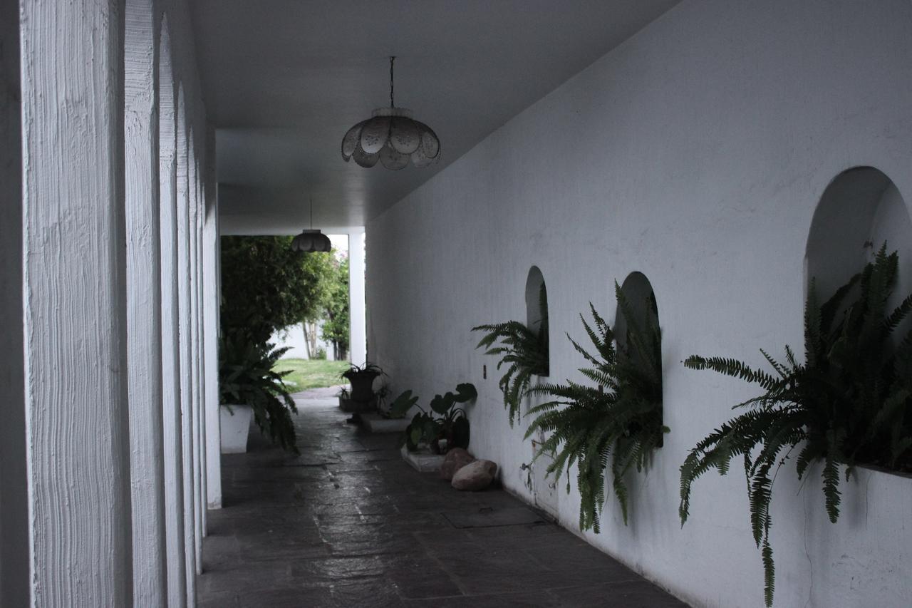 Allende 304 Aguascalientes Ngoại thất bức ảnh