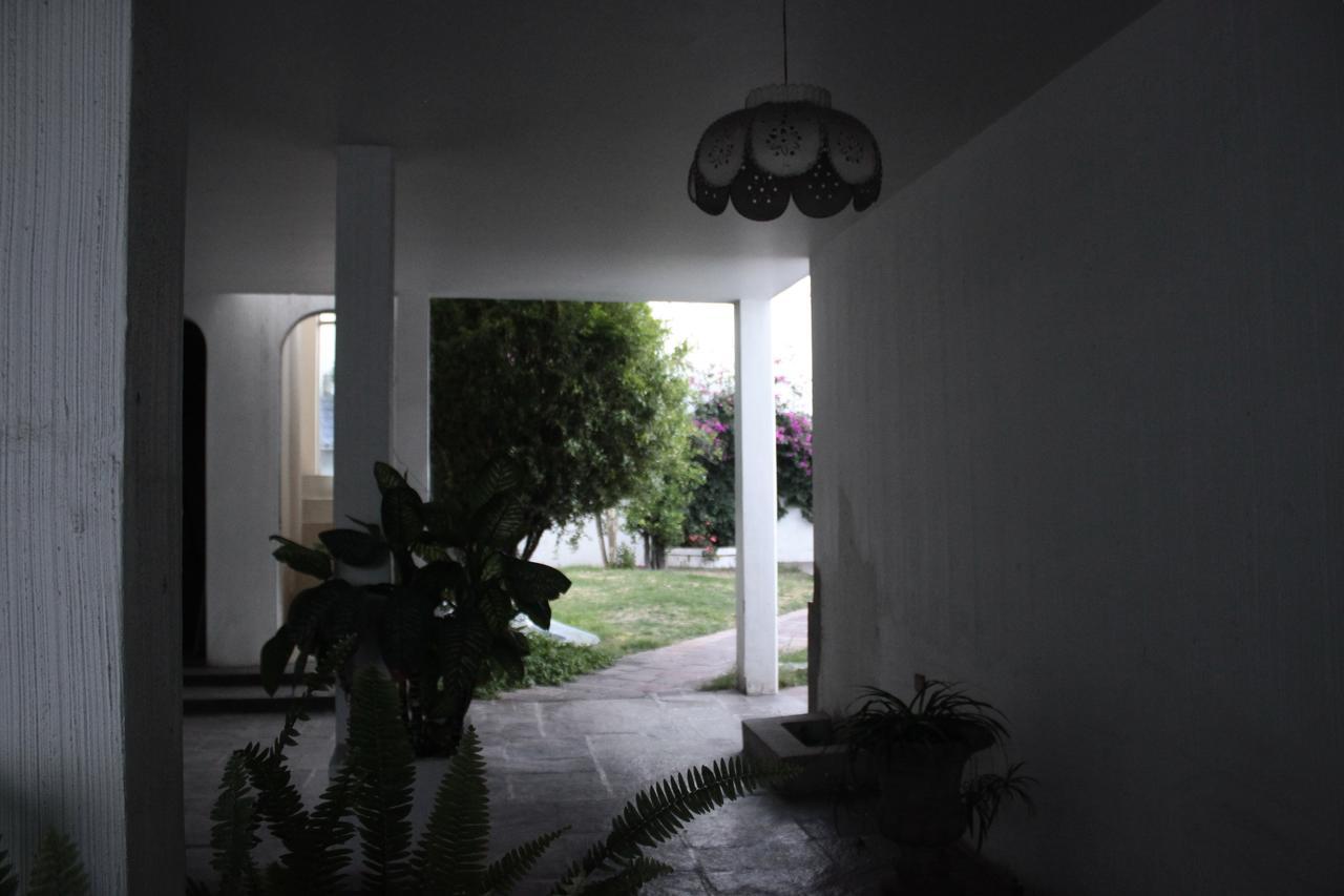 Allende 304 Aguascalientes Ngoại thất bức ảnh
